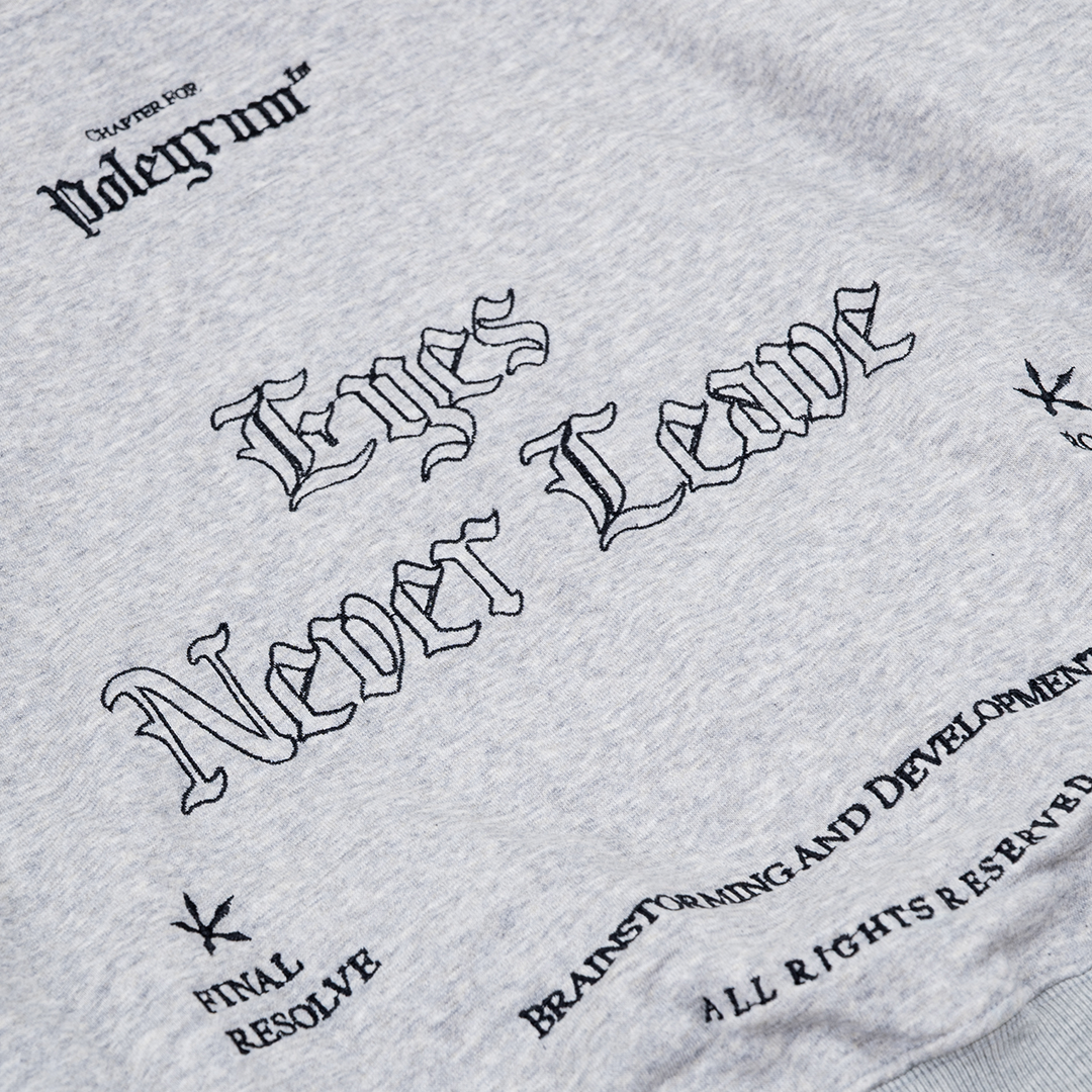 Poleyrum Kern Hoodie - Light Grey - Image 4